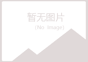 河池夏槐机械有限公司